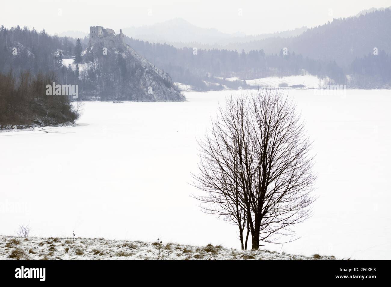 Czorsztyn Lake In Pieniny National Park Lesser Poland Poland Stock czorsztyn-lake-in-pieniny-national-park-lesser-poland-poland-stock