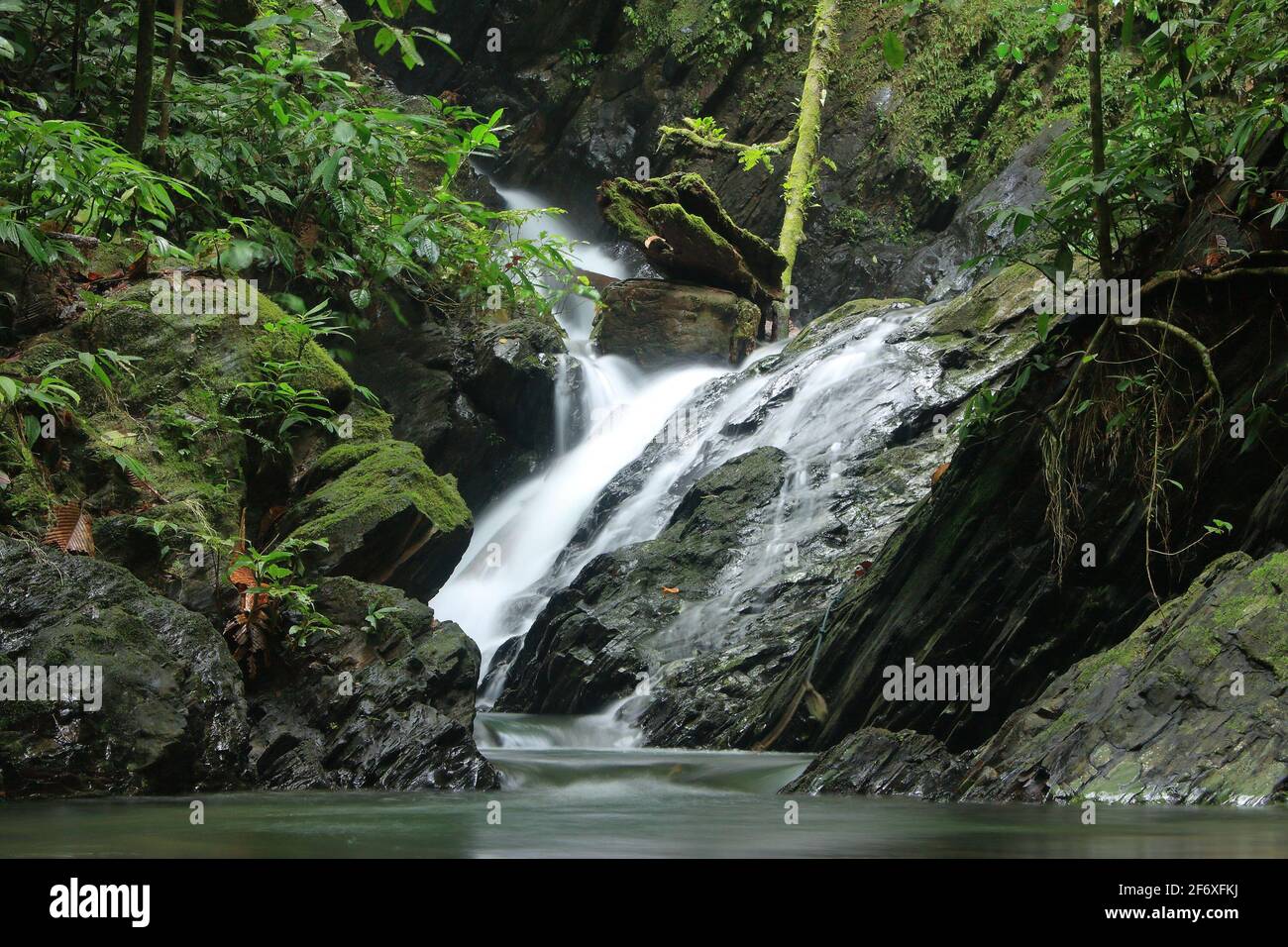 Waterfall in Ulu Temburong National Park, Brunei, Borneo Stock Photo
