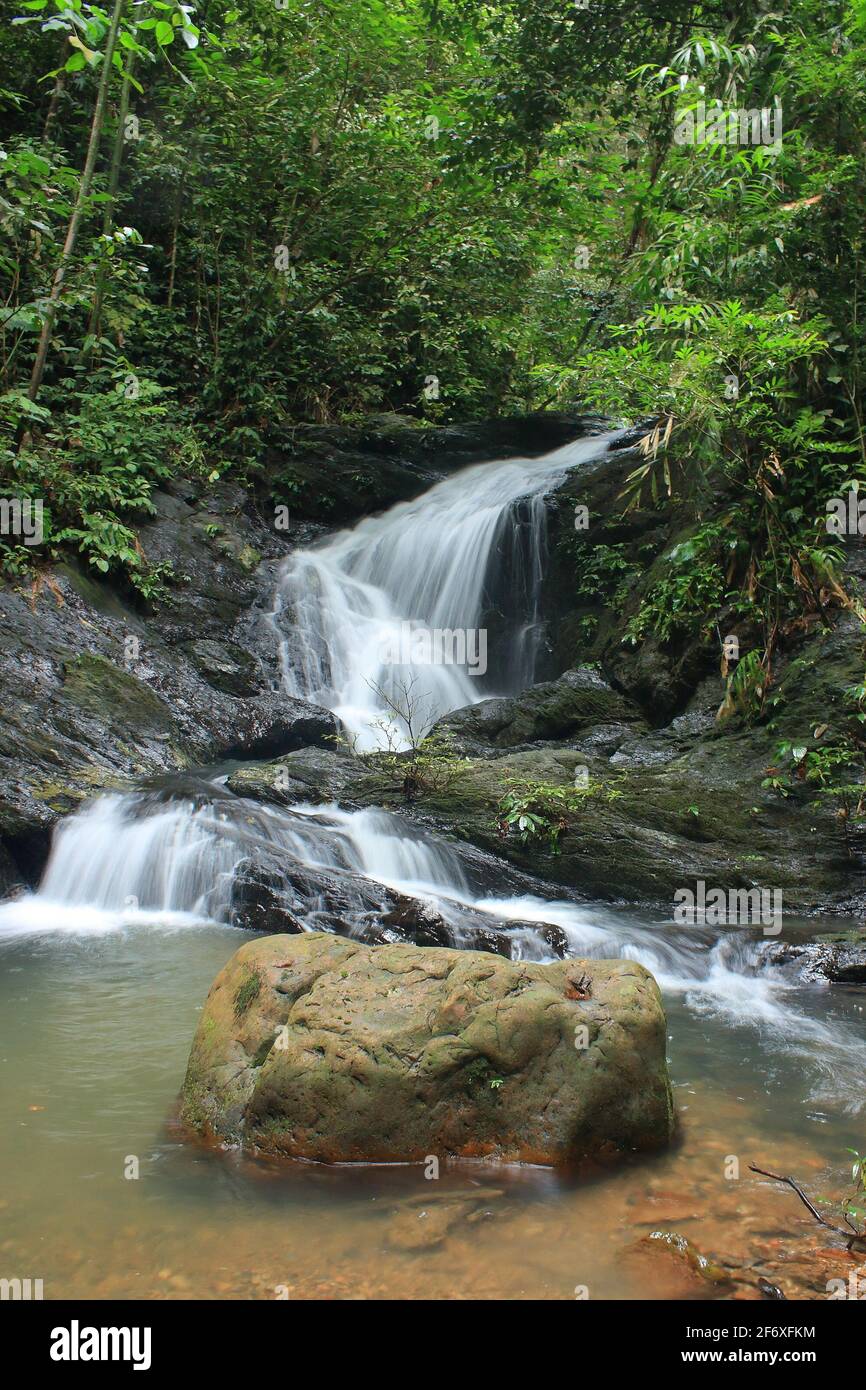 Waterfall in Ulu Temburong National Park, Brunei, Borneo Stock Photo