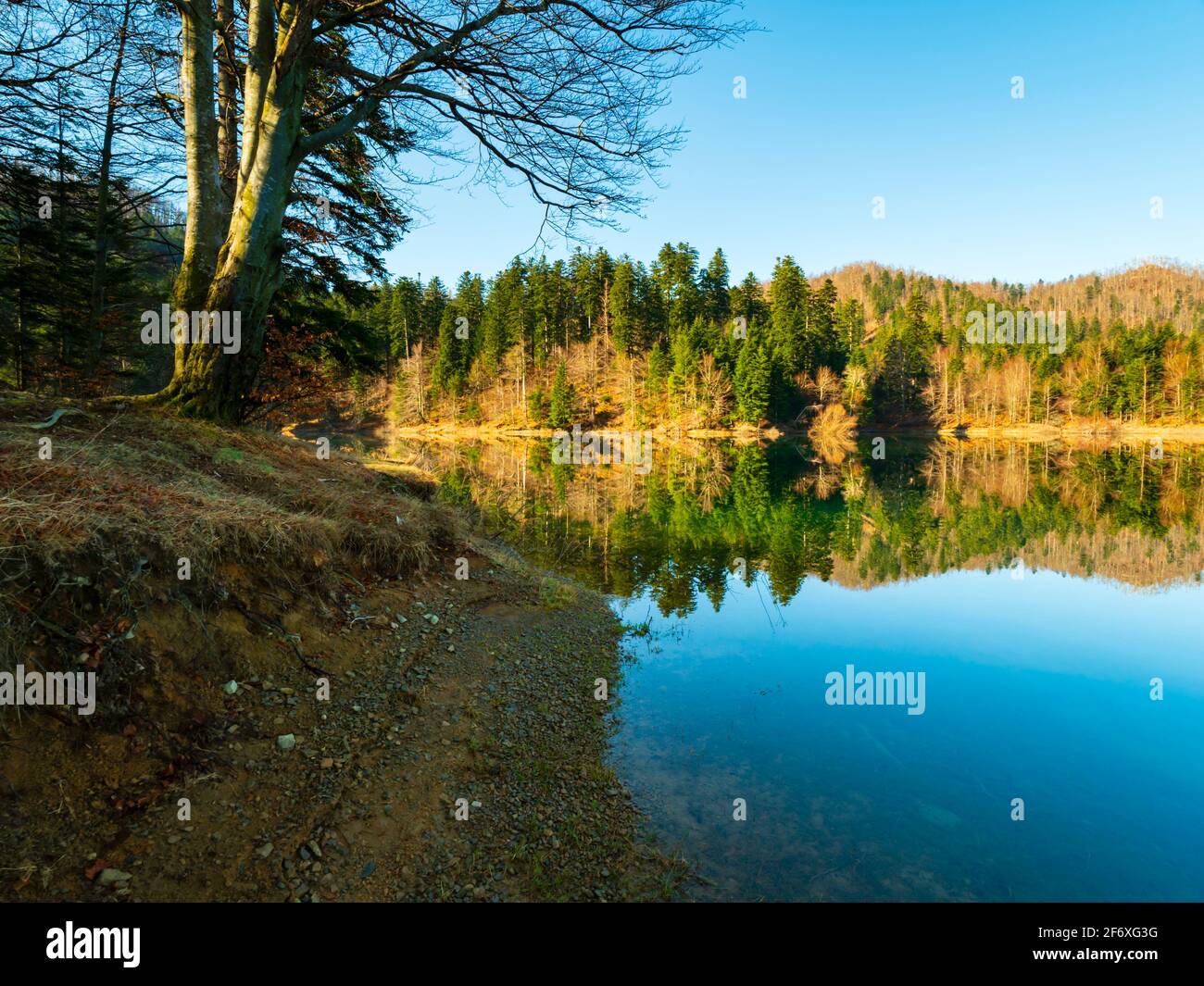 Zen feeling in Lokve lake in Croatia Europe Stock Photo