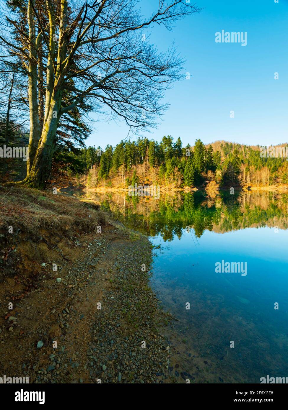 Zen feeling in Lokve lake in Croatia Europe Stock Photo