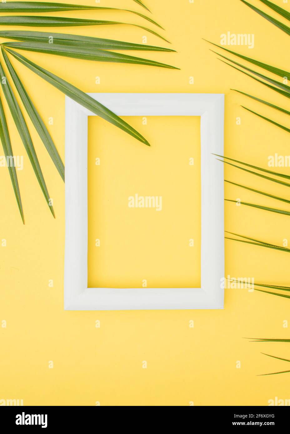 Frame and palm leaves on a yellow vertical background. Tropical summer ...