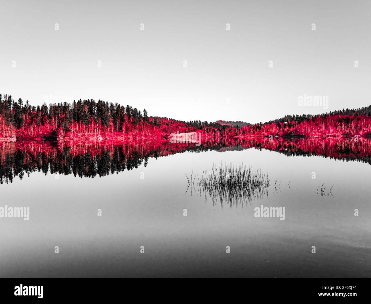 Zen feeling in Lokve lake in Croatia Europe Stock Photo