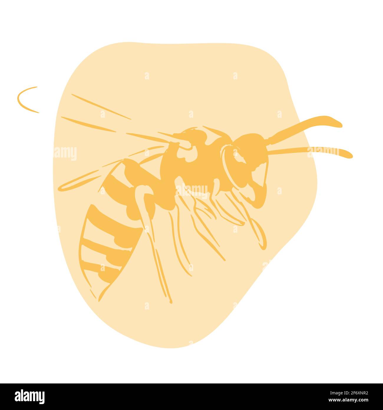 Wasp illustration yellow isolated on white background Stock Vector