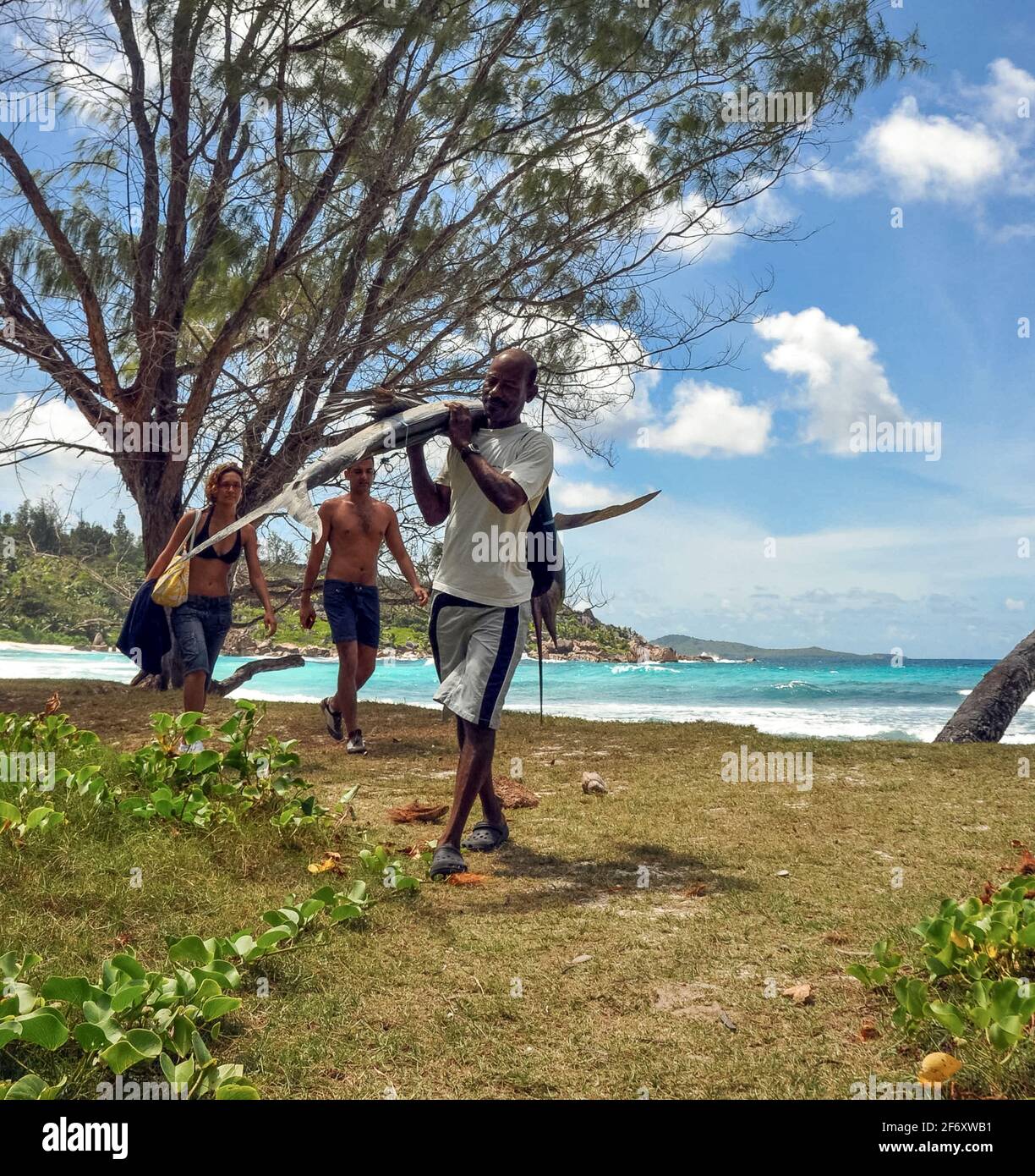 La Digue Island, Seychelles - June 21, 2009 : Local Seychellois man finding and transporting a Indo-Pacific Sailfish (Istiophorus platypterus) found i Stock Photo