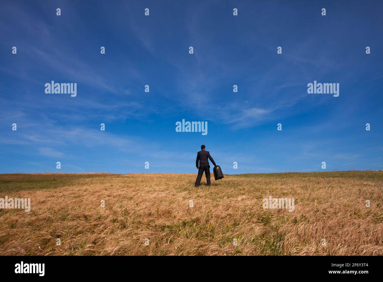 businessman with his luggage outdoor in the field Stock Photo