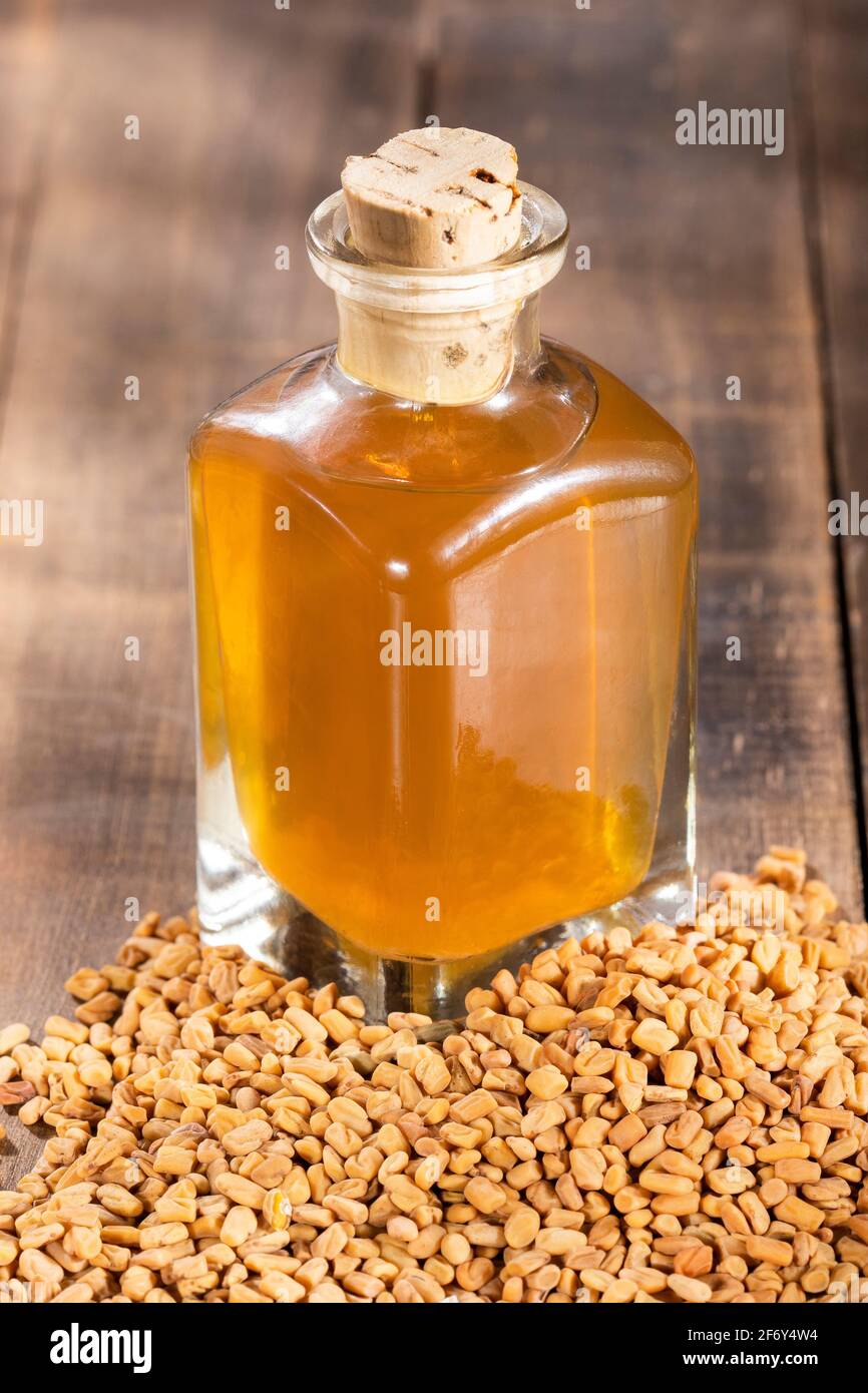 Fenugreek seeds and oil - Trigonella foenum - graecum Stock Photo