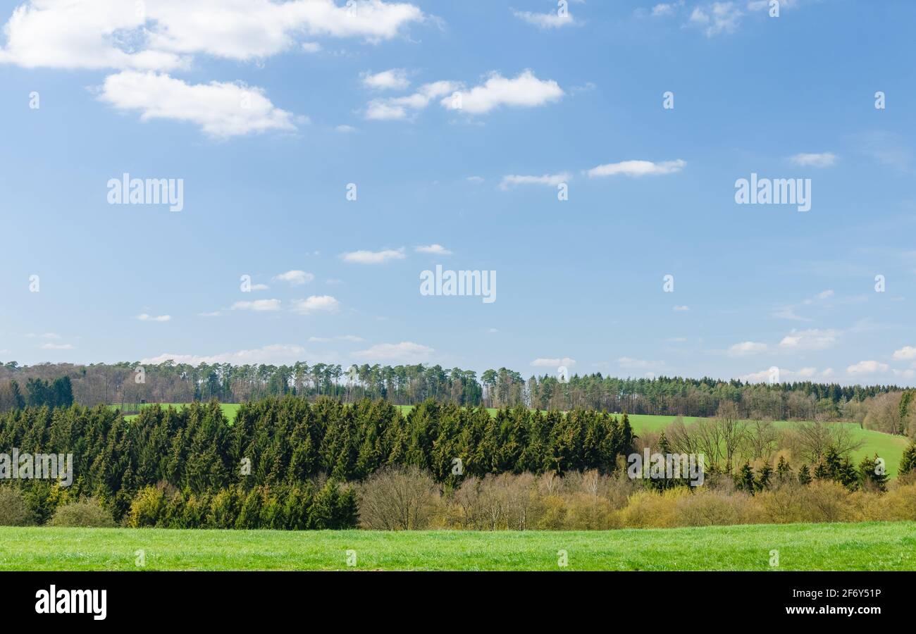 Idyllic forest scene and landscape in the rural countryside with trees and blue sky in the woodlands Westerwald, Rhineland-Palatinate, Germany, Europe Stock Photo
