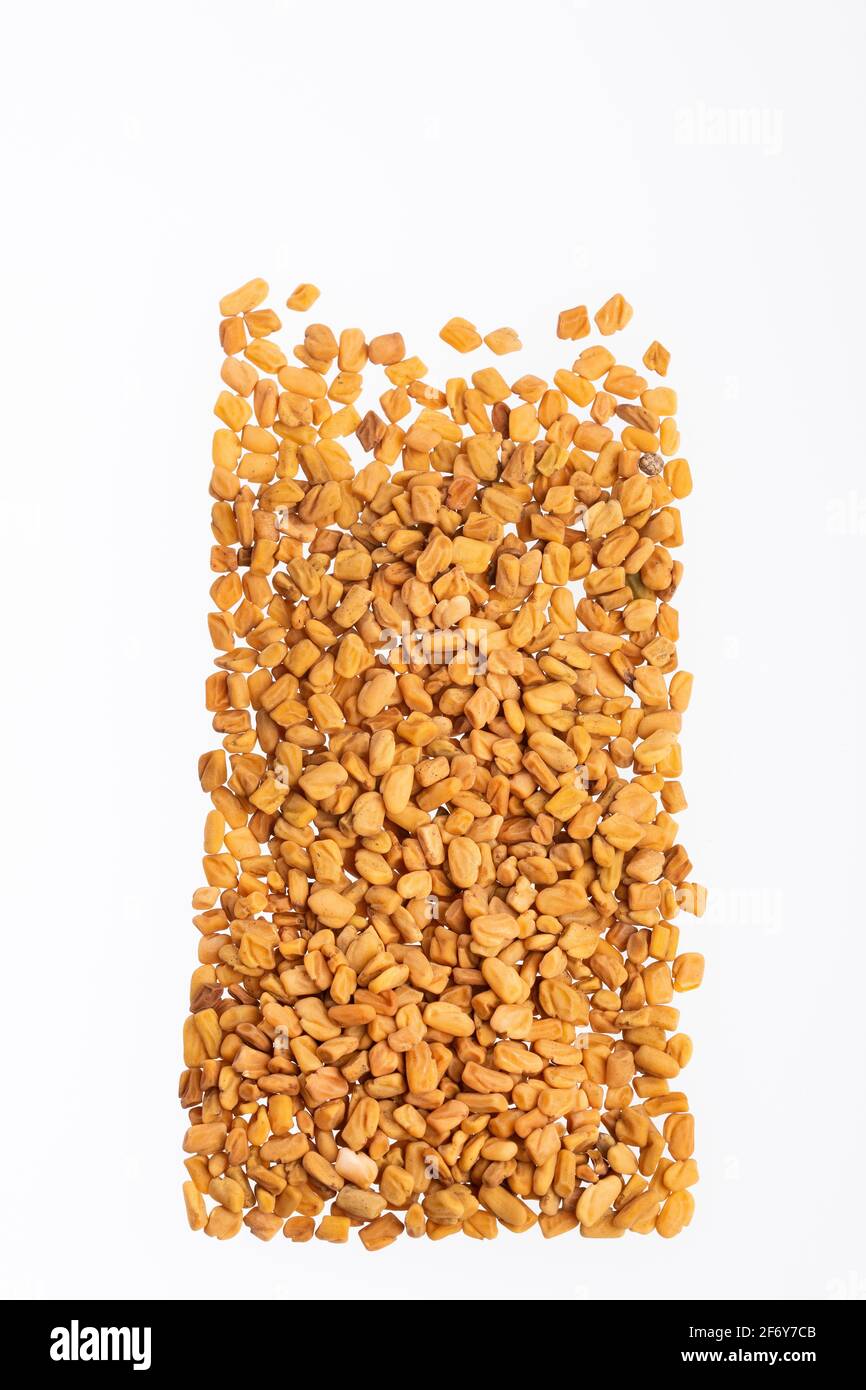 Organic fenugreek seeds - Trigonella foenum - graecum Stock Photo