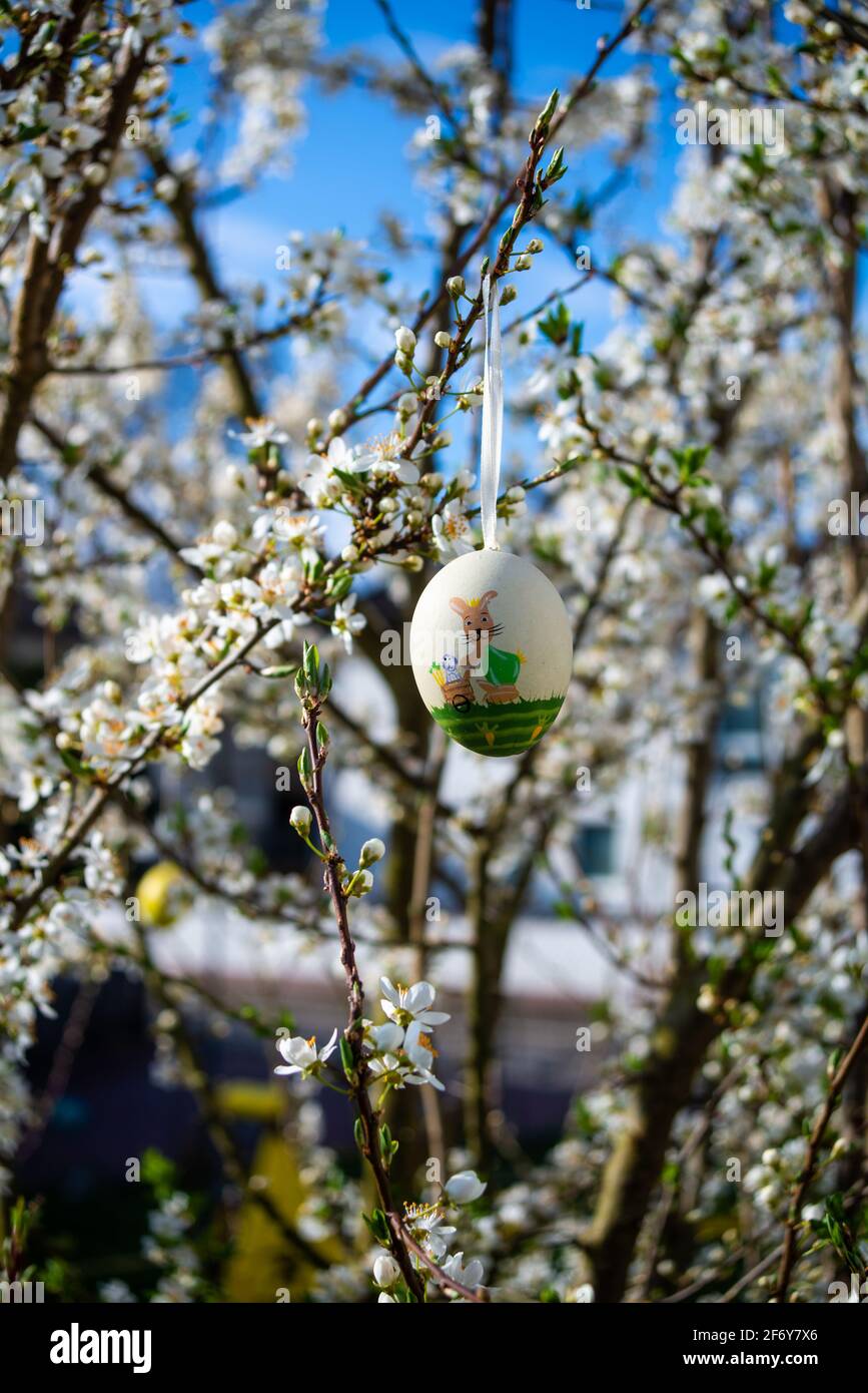 Close up of Easter eggs hanging from tree branches Stock Photo