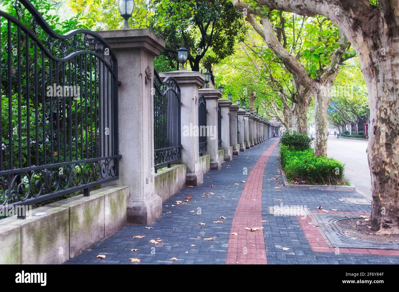 A wrought iron fence and sycamore lined sidewalk in the french concession area of Puxi in shanghai china. Stock Photo
