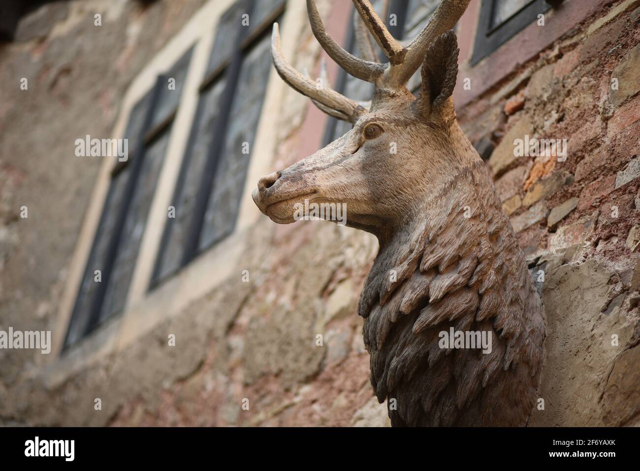 Pansfelde, Germany. 03rd Apr, 2021. A stag's head is emblazoned above the entrance to the inner courtyard. Falkenstein Castle in the southern Harz region was reopened to visitors for the first time after a long break due to the Corona pandemic. After booking by phone, visitors can tour the castle grounds as well as experience a falconry demonstration. The castle is situated above the Selketal. The fortified complex was built at the beginning of the 12th century and passed as a fiefdom to the noble Asseburg family in the 15th century. Credit: Matthias Bein/dpa-Zentralbild/dpa/Alamy Live News Stock Photo