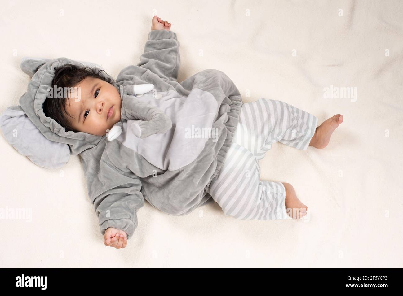 4 month old baby girl in Halloween elephant costume Stock Photo Alamy