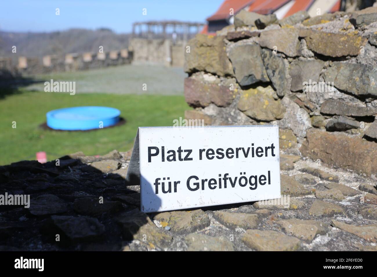 03 April 2021, Saxony-Anhalt, Pansfelde: A sign with the inscription Platz für Greifvögel, stands on a wall of the castle complex. Falkenstein Castle in the southern Harz region is open to visitors again for the first time after a long break due to the Corona pandemic. After booking by telephone, visitors can tour the castle grounds and experience a falconry demonstration. The castle is located above the Selketal. The fortified complex was built at the beginning of the 12th century and passed as a fiefdom to the noble Asseburg family in the 15th century. Photo: Matthias Bein/dpa-Zentralbild/dp Stock Photo