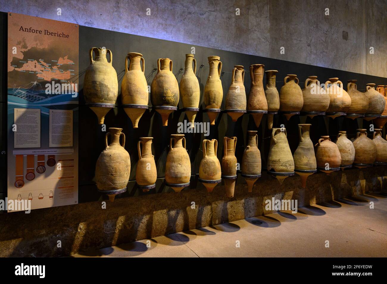 Rome. Italy. Collection of assorted ancient Roman amphorae on display at the Museum of the Imperial Fora at Trajan's Markets (Museo dei Fori Imperiali Stock Photo