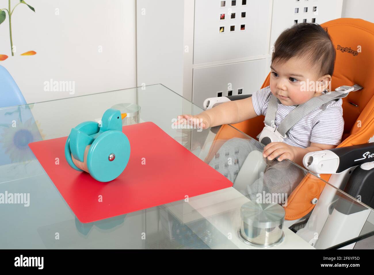 8 month old baby boy sitting in high chair at table Piaget Object Permanence sequence #1 viewing toy on table Stock Photo