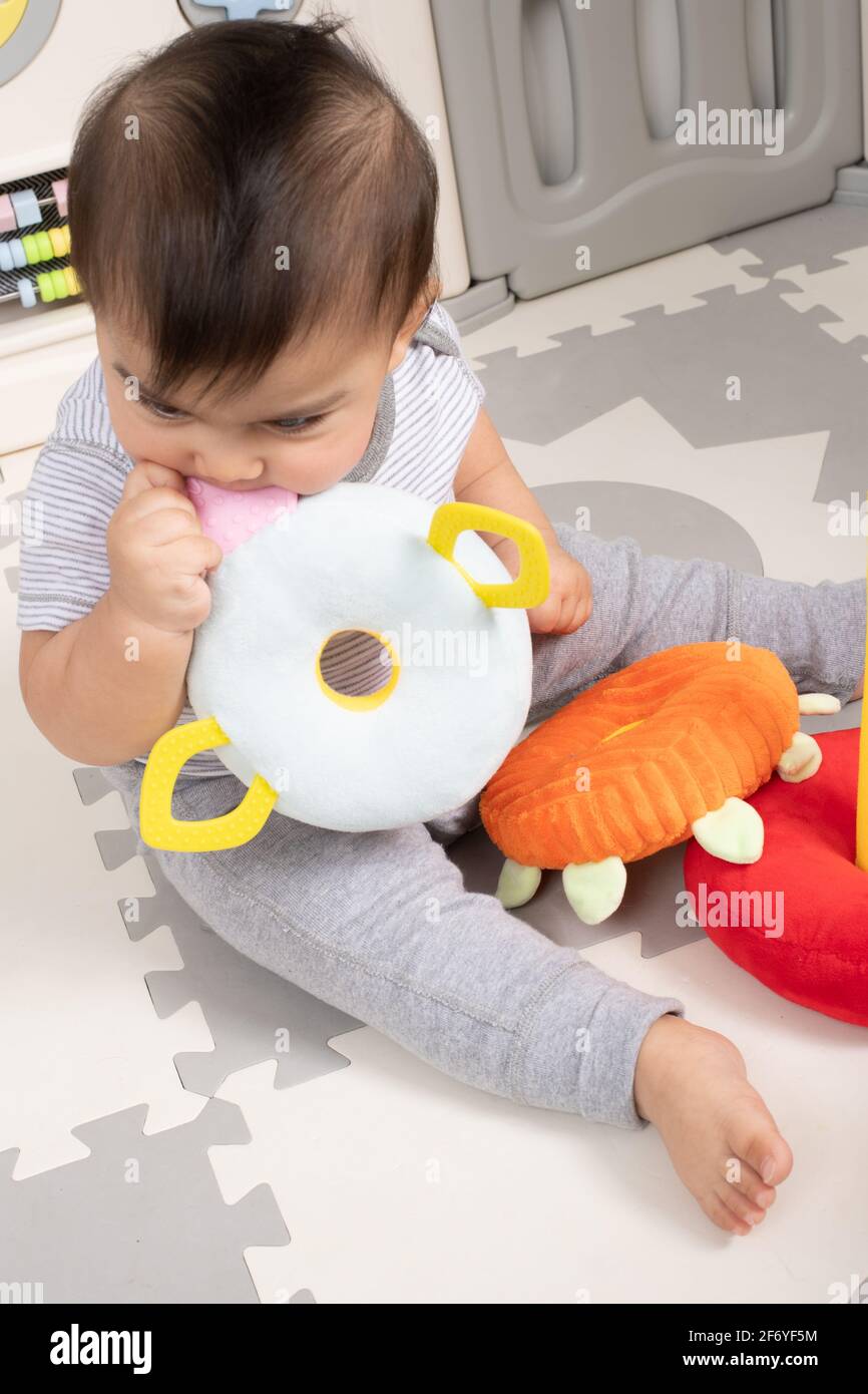 8 month old baby boy sitting playing with cloth rings toy, biting cloth flap Stock Photo