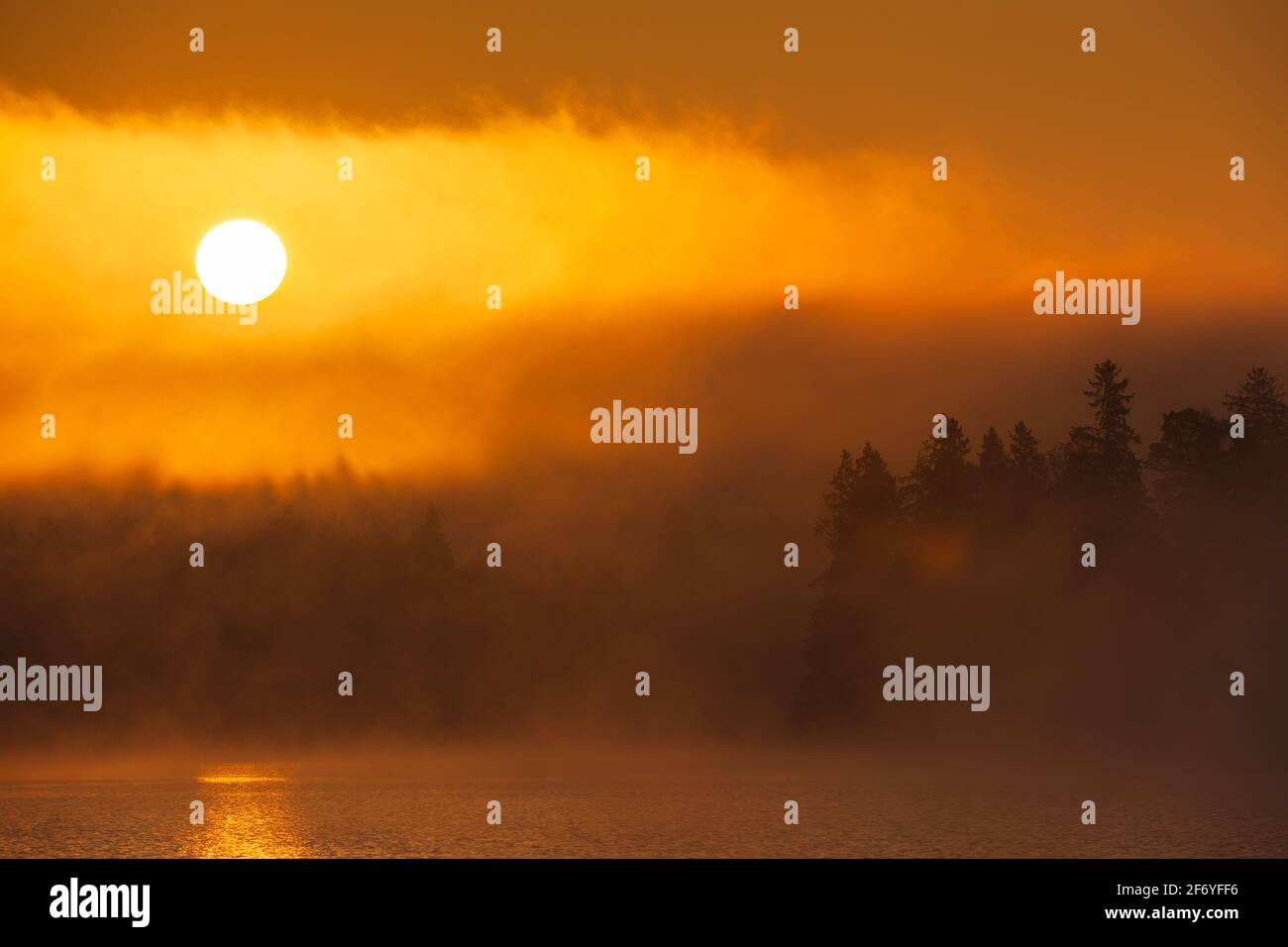 Sun rising above forest and misty lake, Sweden. Stock Photo