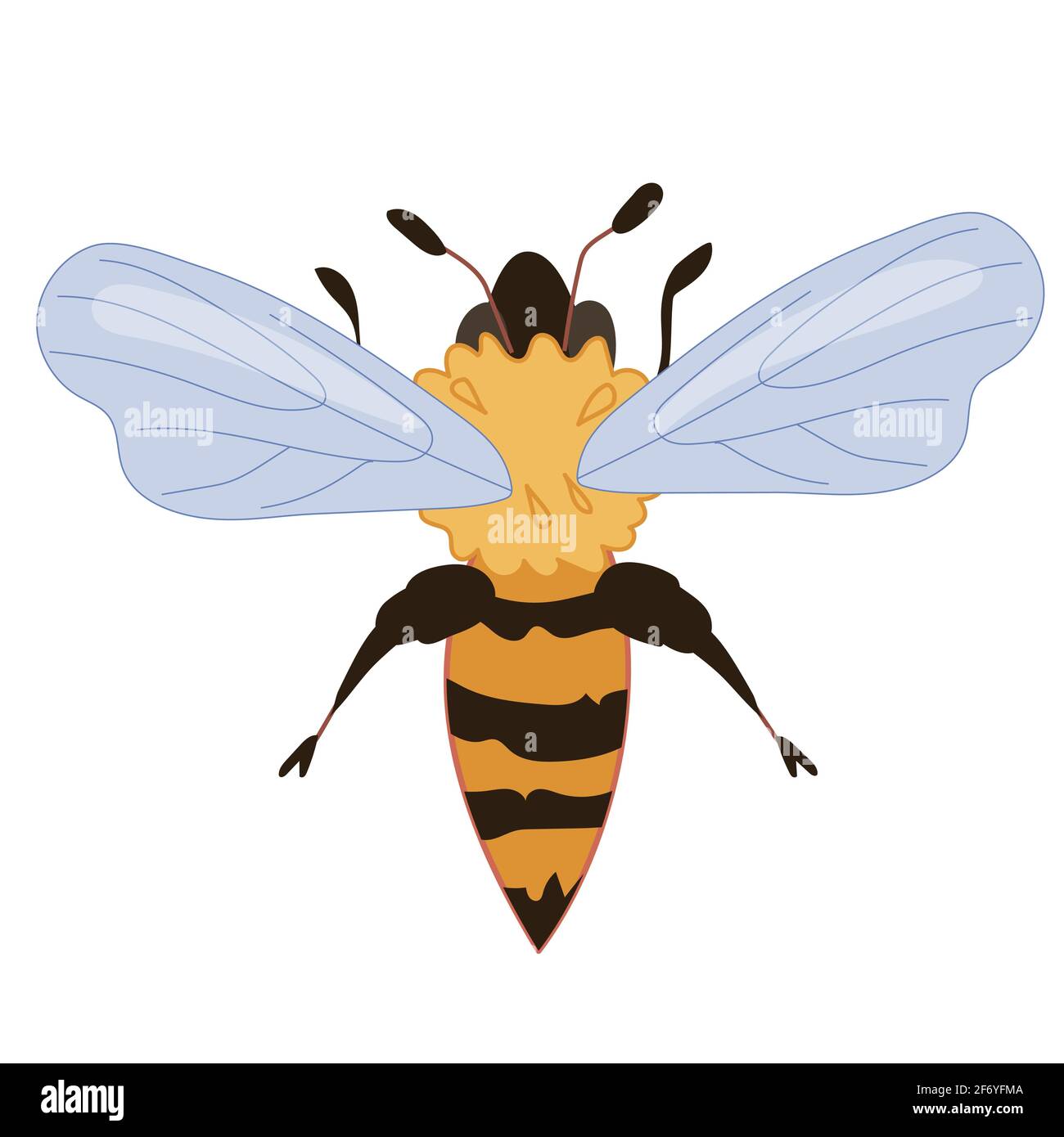 Honey bee drawing beehive flying insect doodle Vector Image