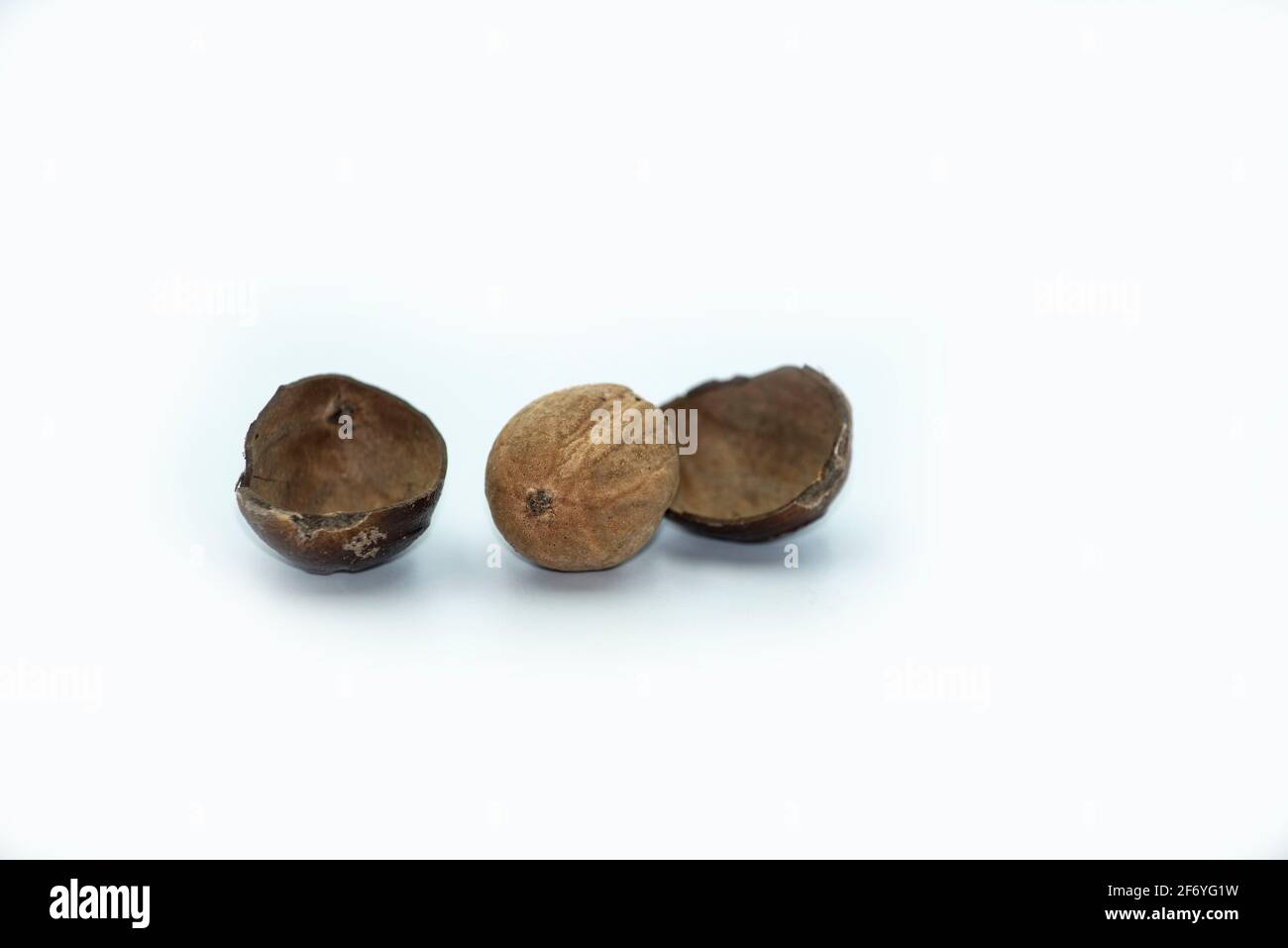 Mumbai , India - 15 March 2021, Nutmeg or Jaifal Spice on white background at Mumbai Maharashtra India Stock Photo