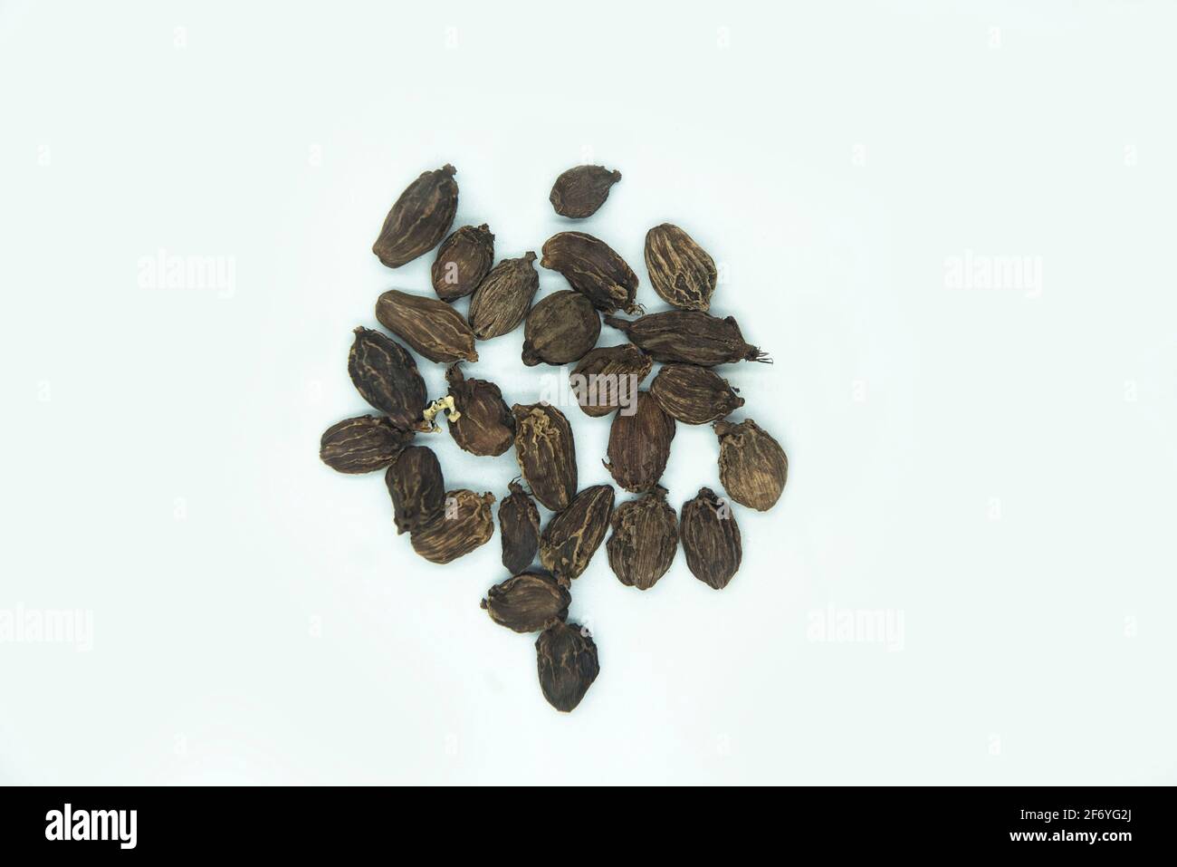 Mumbai , India - 15 March 2021, Indian Spices buds of amomum subulatum also known as Black cardamom  scattered on white background at Mumbai Maharasht Stock Photo