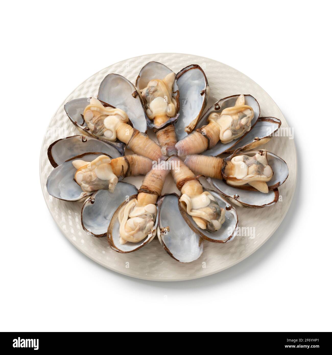 Soft Shell Clams High Resolution Stock Photography And Images Alamy