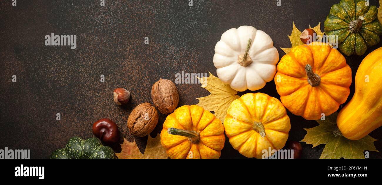 Thanksgiving background pumpkins retro card hi-res stock photography ...