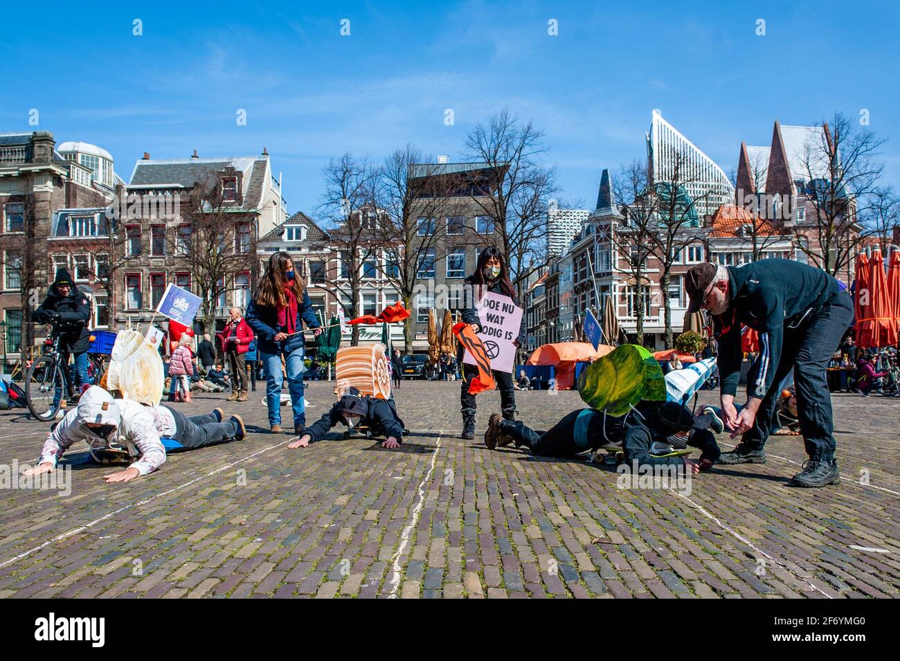 Some of the climate snails are seen trying to reach the finish line