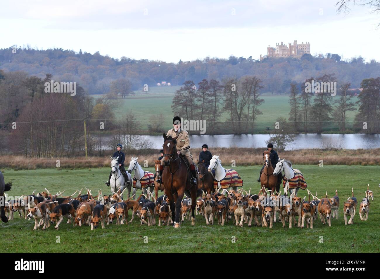 Belvoir hunt exercise 26.11.20 Stock Photo