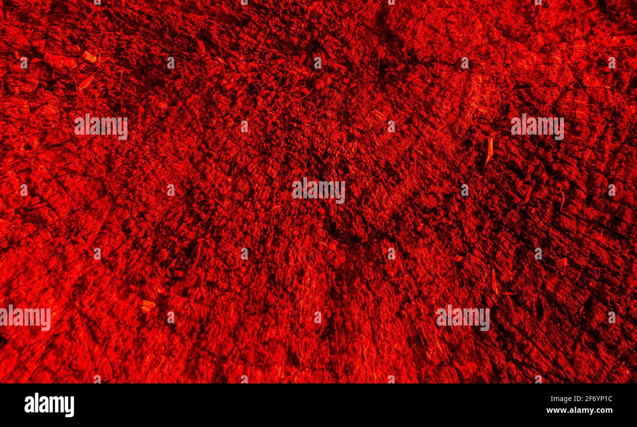 Red abstract texture background. Bright red background color Stock