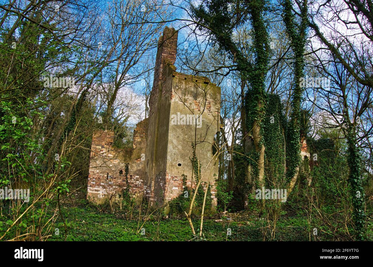 The crumbling ruins of Norris Hill Cottages in the National forest near Moira North West Leicestershire. Stock Photo