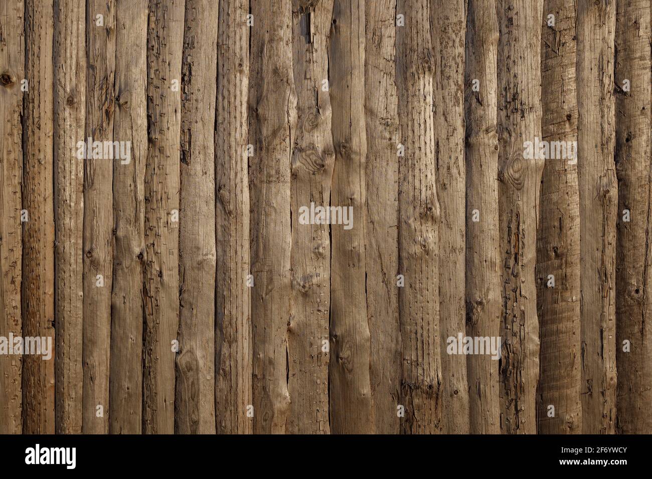 Rough old wooden logs texture or wall with vertical pattern. Stock Photo