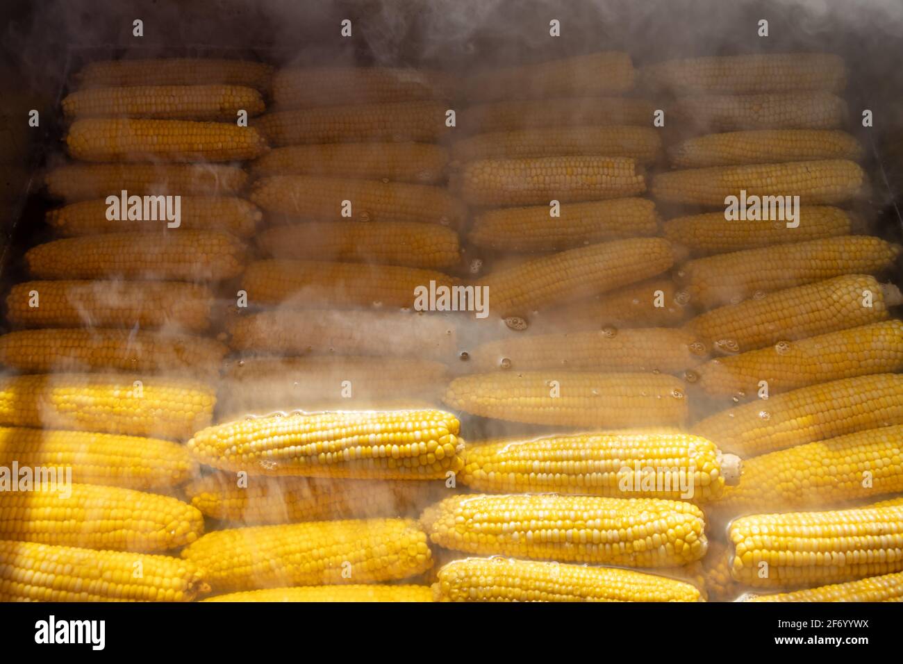 Boiled corns in a boiling water cauldron Stock Photo