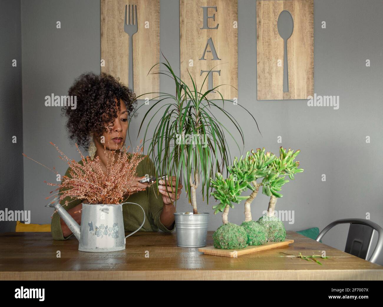 Black woman caring houseplants indoor. Stock Photo