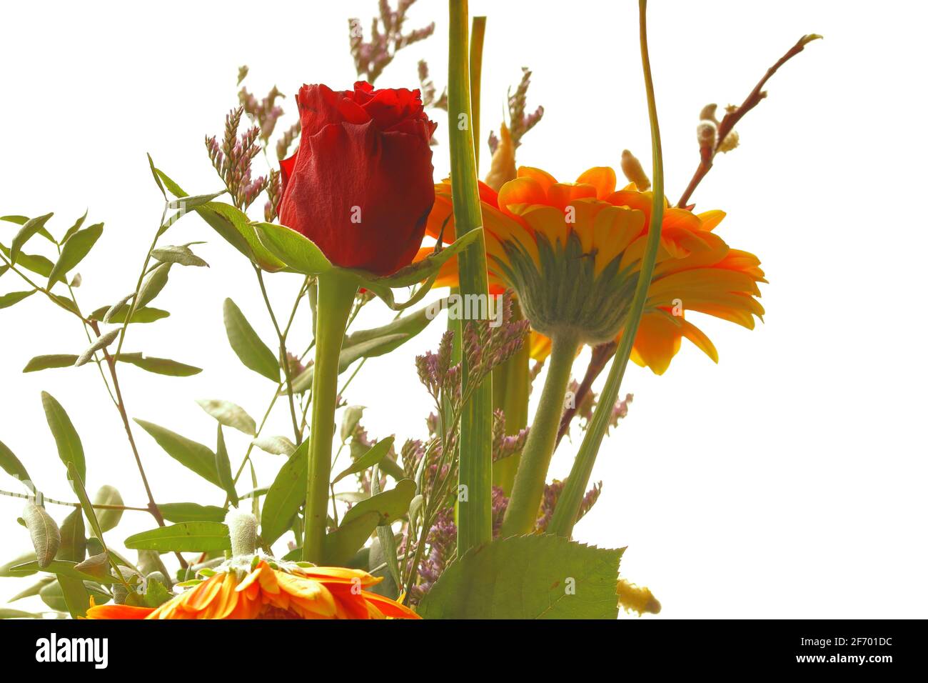 close up of a flower bouquet against bright background Stock Photo