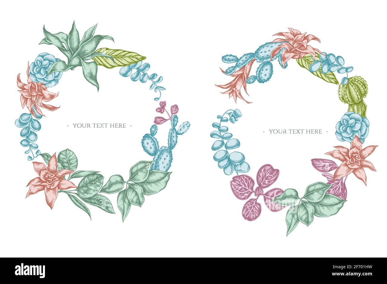 Floral Wreath of pastel ficus, iresine, kalanchoe, calathea, guzmania, cactus Stock Vector