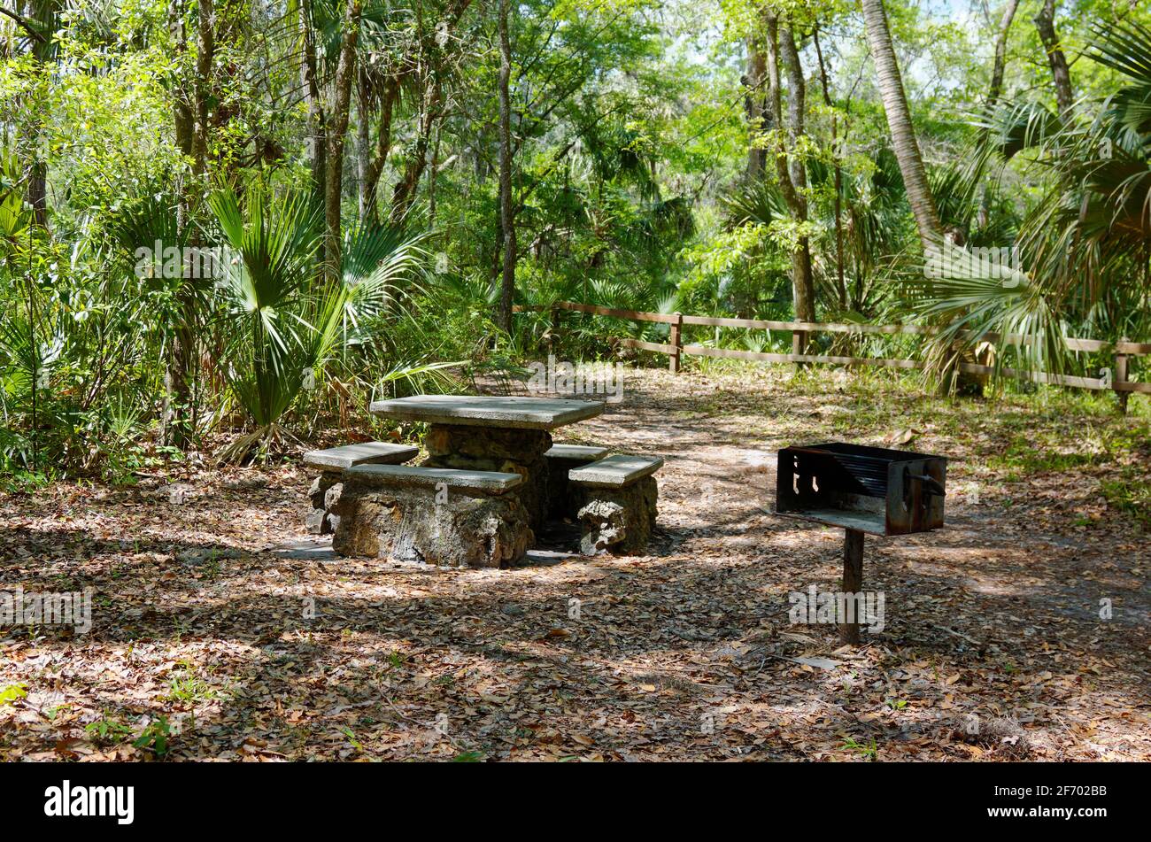stone picnic table, 4 benches, grill, dappled sun, woods, fence