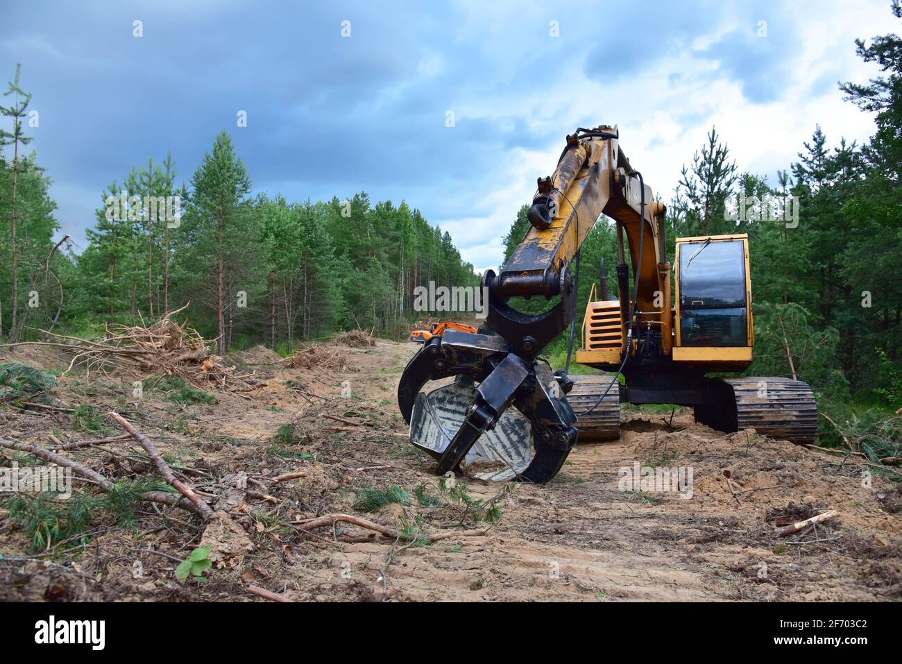 Excavator Grapple during clearing forest for new development. Tracked