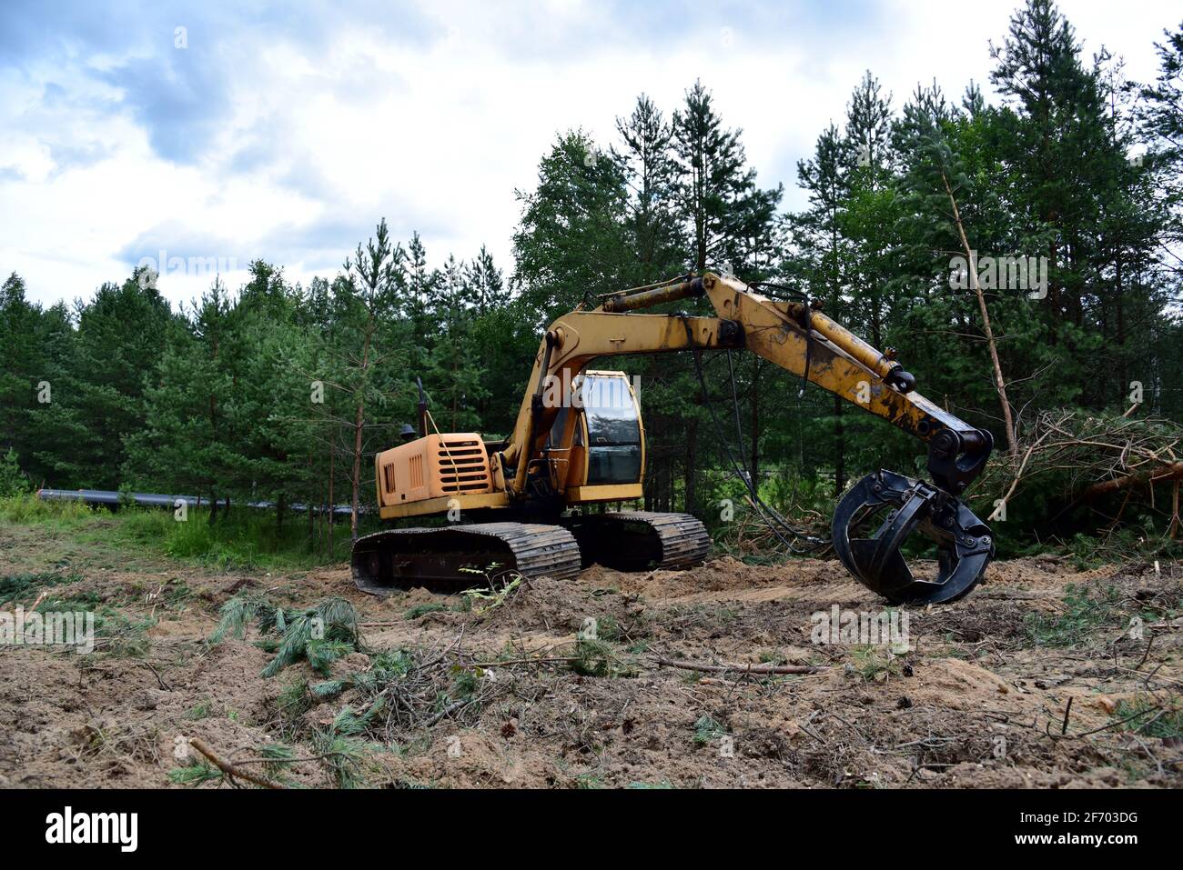 Excavator Grapple during clearing forest for new development. Tracked