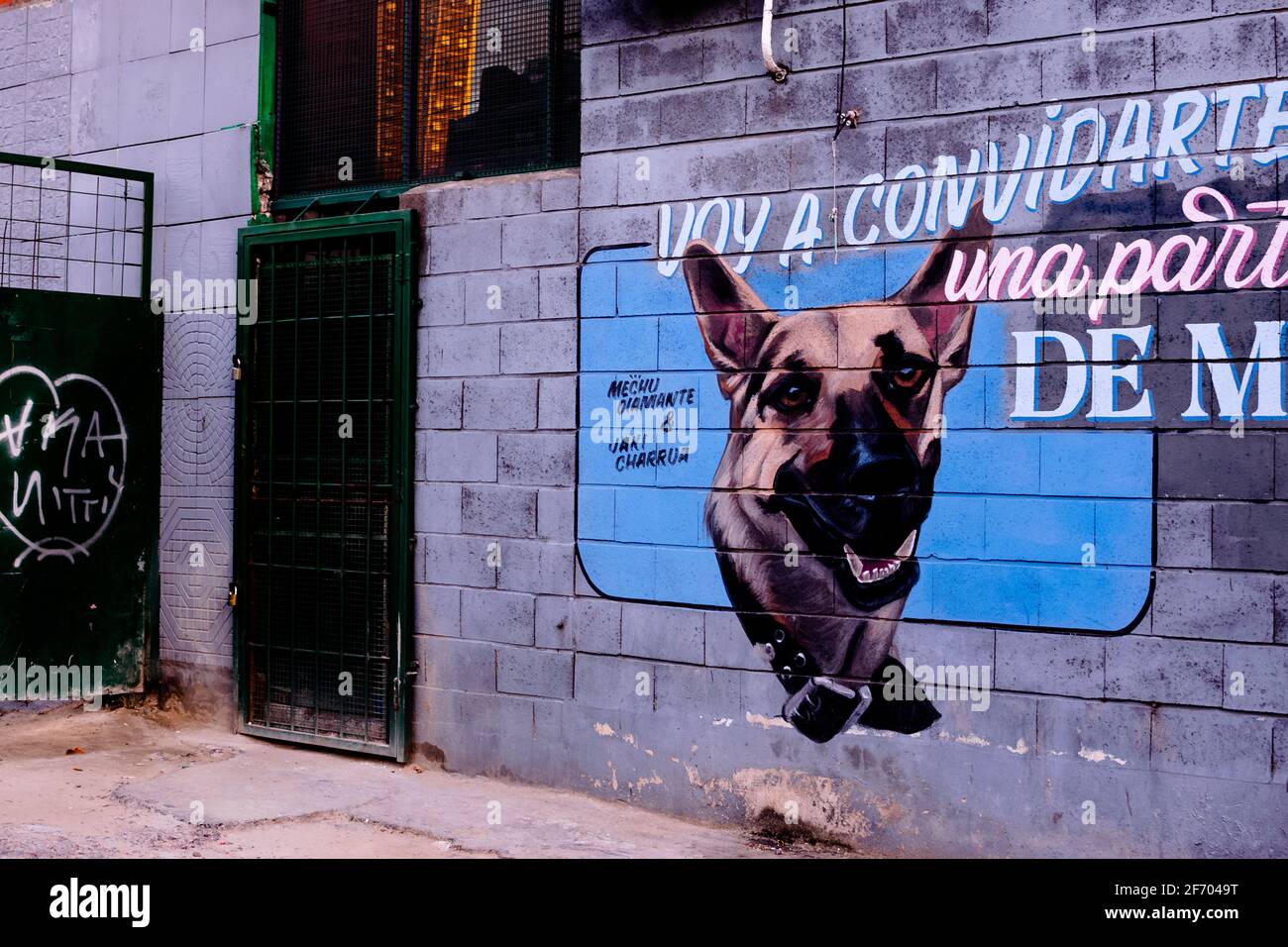 dog street art Stock Photo
