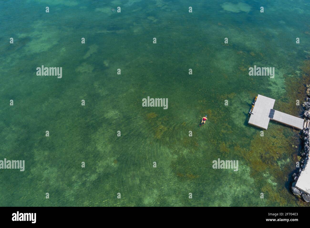 Aerial view of man snorkeling, Key Largo Florida USA Stock Photo