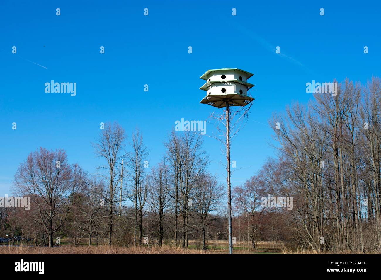 Bird house, or condo, against a bright blue sky at Davidson's Mill Pond Park ecological trail on a spring day Stock Photo