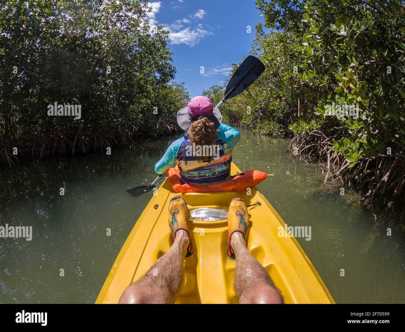 Paddling through the mangrove swamp, Key Largo Florida, USA Stock Photo