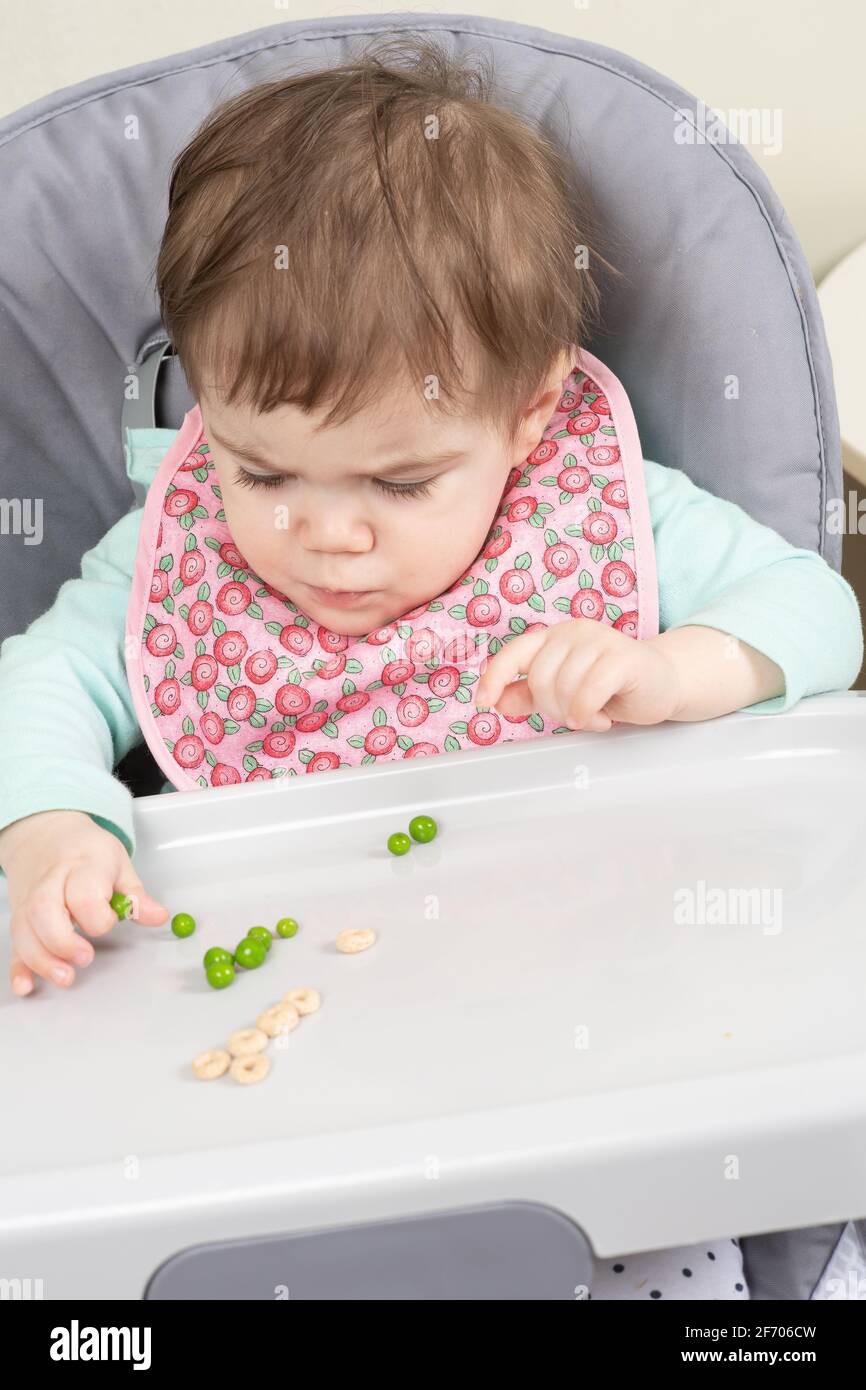 10 month old baby girl eating in high chair feeding self peas using pincer grasp Stock Photo