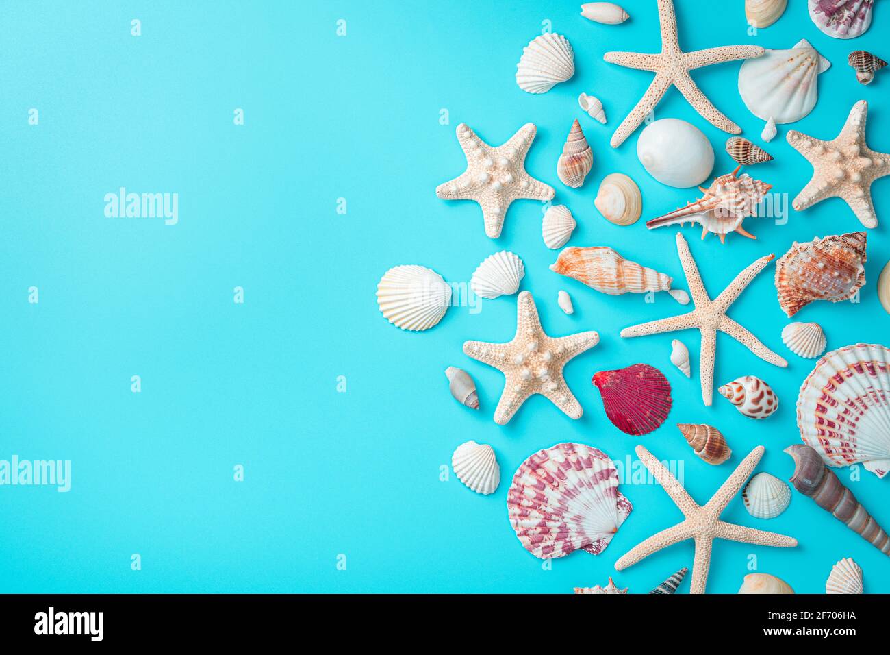 Background with seashells, a large variety of seashells and starfish on ...