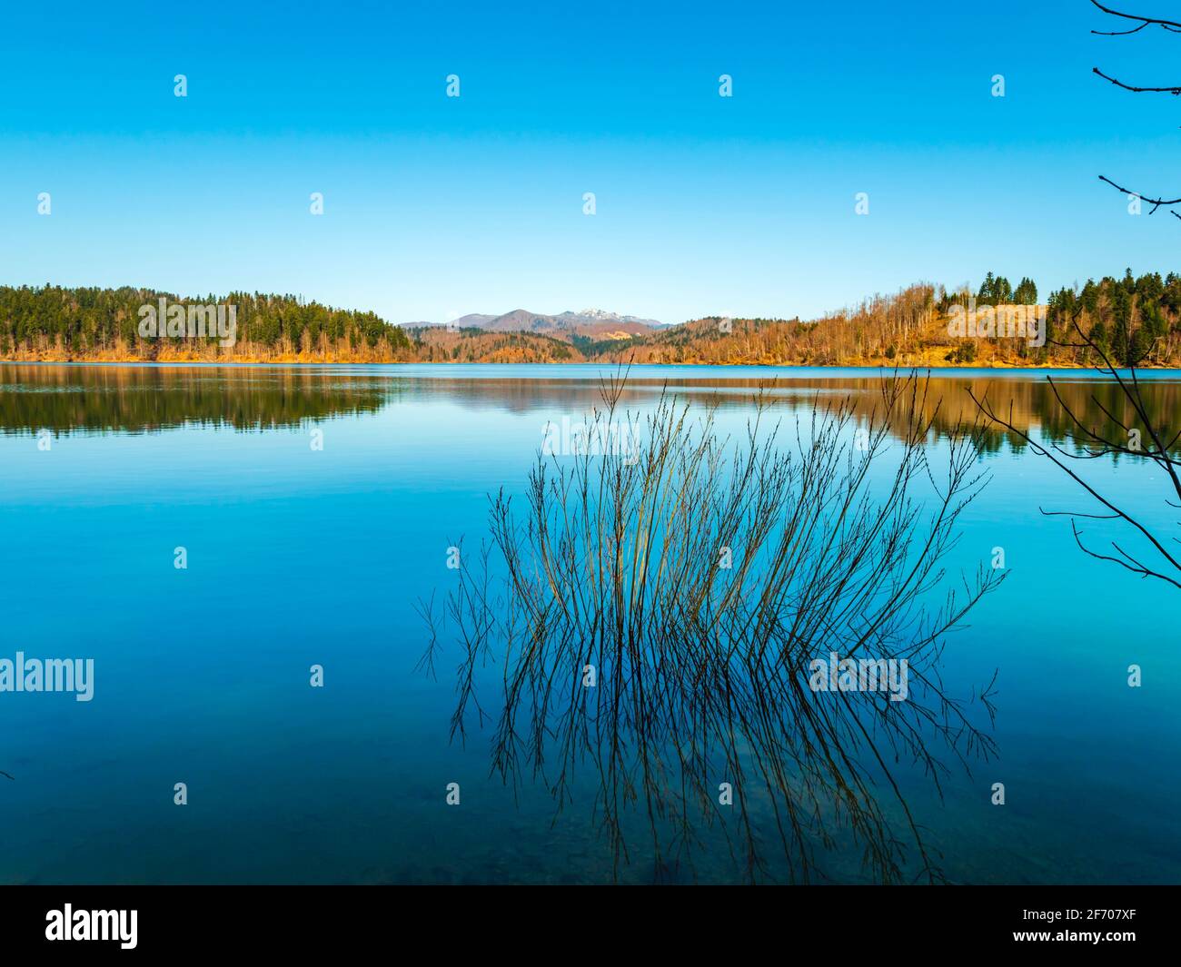 Picturesque peaceful tranquility Lokve lake in Croatia Europe Stock Photo