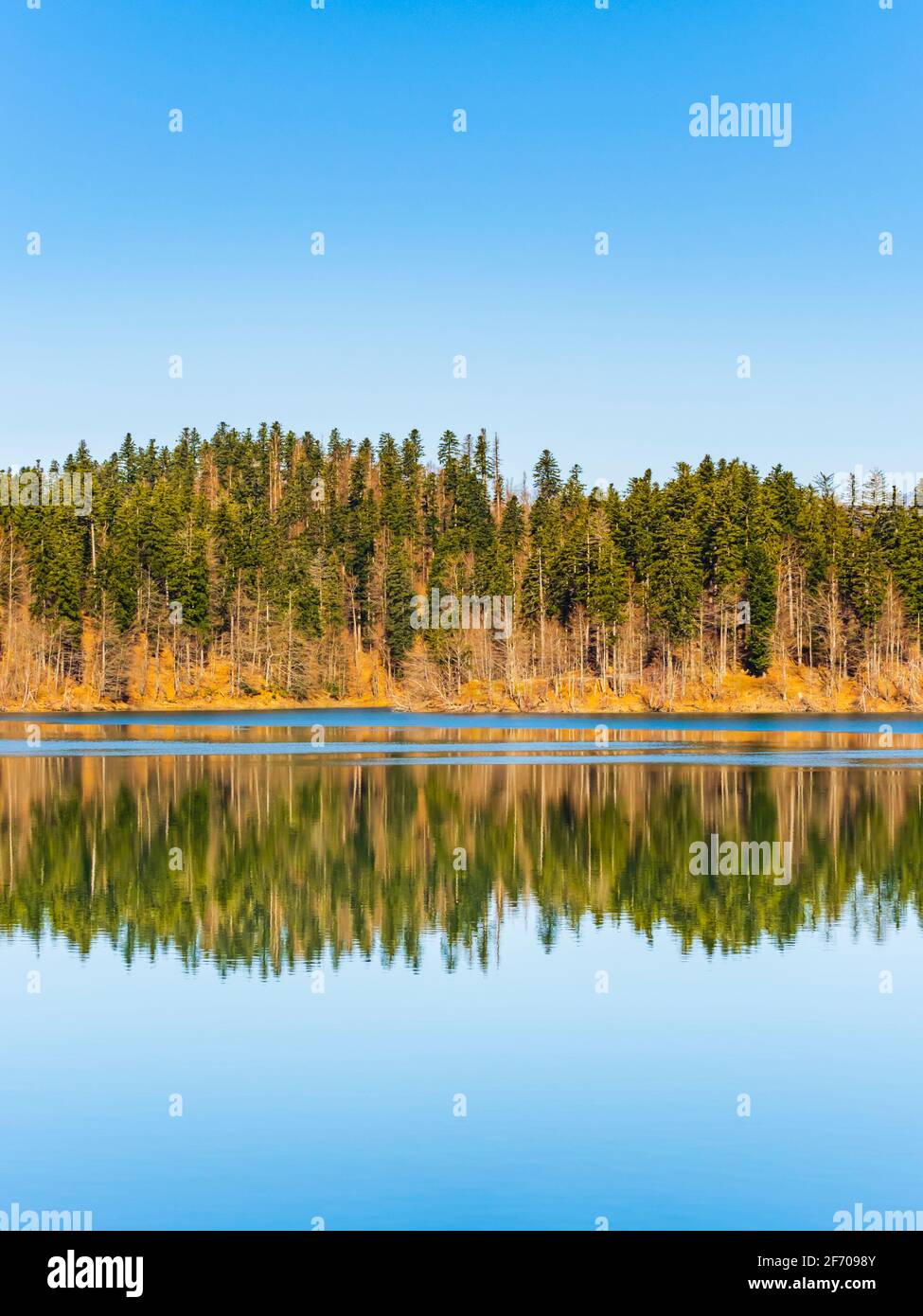 Picturesque peaceful tranquility Lokve lake in Croatia Europe Stock Photo