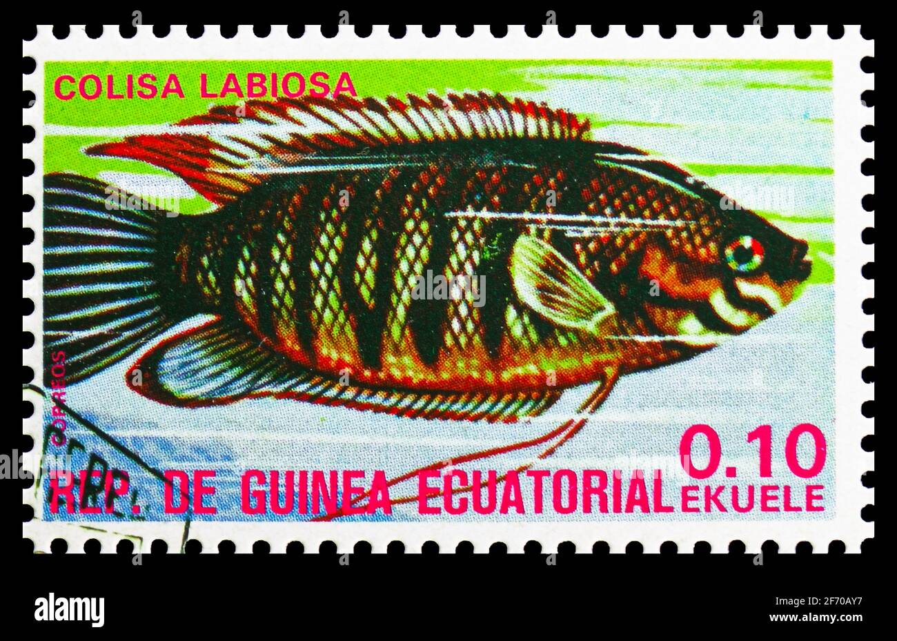 MOSCOW, RUSSIA - DECEMBER 19, 2020: Postage stamp printed in Equatorial Guinea shows Thick-lipped Gourami (Colisa labiosa), Fishes (I) exotic serie, c Stock Photo