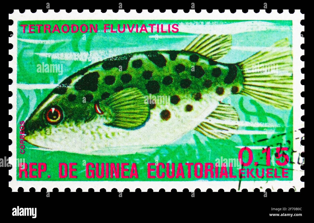 MOSCOW, RUSSIA - DECEMBER 19, 2020: Postage stamp printed in Equatorial Guinea shows Green Pufferfish (Tetraodon fluviatilis), Fishes (I) exotic serie Stock Photo