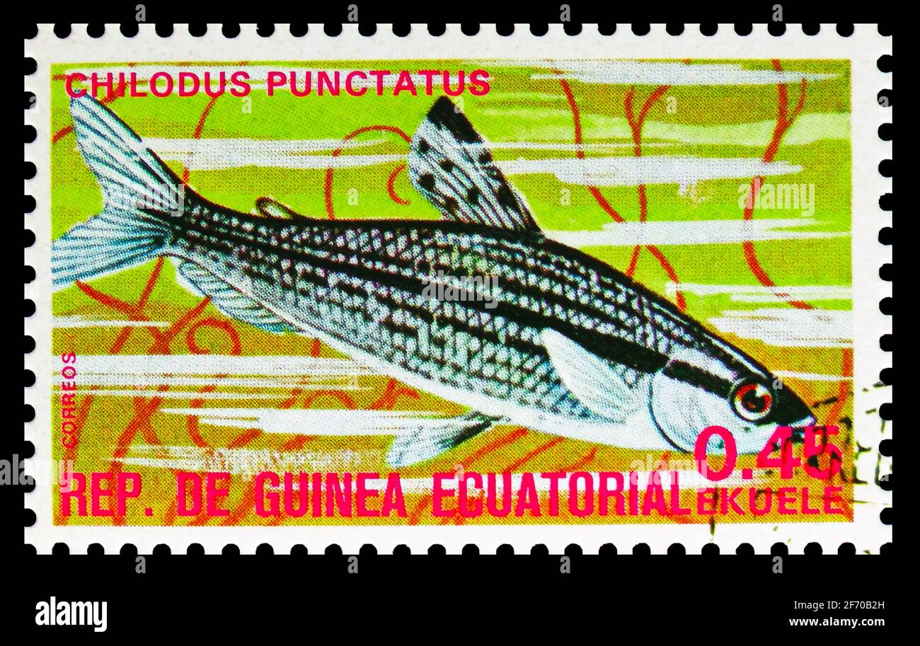 MOSCOW, RUSSIA - DECEMBER 19, 2020: Postage stamp printed in Equatorial Guinea shows Spotted Headstander (Chilodus punctatus), Fishes (I) exotic serie Stock Photo